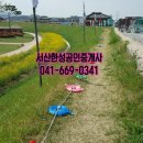 서산한성공인중개사사무소 이미지