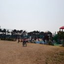 을숙도 생태공원 이미지