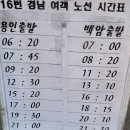 용인 내동마을 연꽃 보러~ 이미지