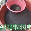 으뜸2농장 Daum카페