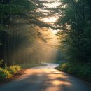 율촌농장 | "가봤더니 사랑이 더 커졌어요" – 커플 만족도 200% 국내 여행지 TOP10