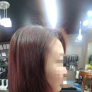 샤론헤어 이미지