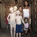 (주)알비노 이미지