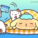 제일안과의원 이미지