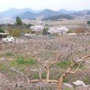 산정농원 이미지