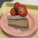 2025 파주시티투어 당일코스(토요일) 이미지