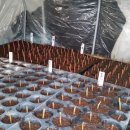 미니목장 이미지