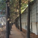 석관지하보차도 이미지