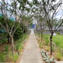 카페 반월 이미지