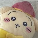 고구마짐 | 치이카와 모구모구 고구마 시리즈 신상 + 몬치치 오렌지 컬러즈 키링 짐패스 후기