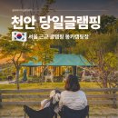 동남3세천 | 서울 근교 가성비 당일 글램핑 충남 천안 감성 숙소 추천 몽키캠핑장