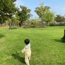 시대공원 | [달서구 선돌공원/선돌마당근린공원] 맘모스 만나는 선사시대 컨셉 놀이터 후기 (29개월 아기와 초가을...