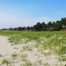 모래언덕 이미지