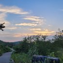 소나무가든민박 이미지