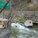 미사벨리 이미지