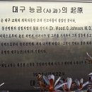 대구나무병원