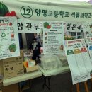 청운마트 | 2026 양평 수박축제 현장 분위기와 먹거리 후기, 내년에 간다면 꼭 먹어볼 메뉴