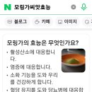 모링가 효능 이미지