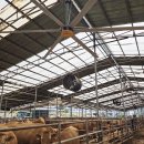 동광축사 이미지