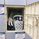 유성종합스포츠센터 2층 | [성남종합스포츠센터] 초급반부터 연수반까지 50m레인 실제 수영 강습 후기