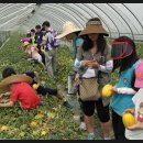 산동농산 이미지