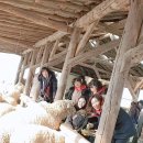 여운목장 이미지