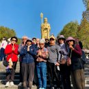 [공지] [밀양무봉사] 2024년 갑진년 4월 법회 일정 &amp; 부처님오신날 연등 신청, 접수 안내