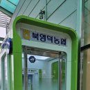 영해농협 로컬푸드직매장 이미지