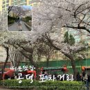 도화소어린이공원화장실 | 마포 공덕역 벚꽃 야장 포장마차거리 염리초등학교 포차 위치 웨이팅 및 화장실