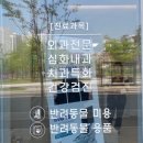 시흥i동물병원 | [시흥은계] 은계동물병원 추천 온숲동물병원 솔직후기