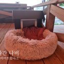 청평리조트앤에프씨웰니스센터 이미지