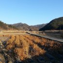 화순 송단 복조리 마을 이미지