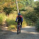 거북이 주유소 이미지