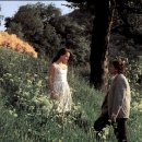 자연미인 이미지