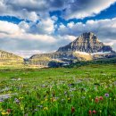 화원일식 이미지