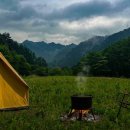 정글식당 - 울주군 | 정글식당