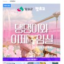 임실 옥정호 애견동반 펫츠고 여행 후기