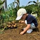 차홍농장 이미지