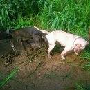 연홍농장 이미지