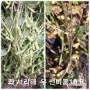 선비농장 이미지