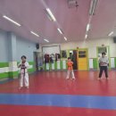 용인대멘토태권도 이미지