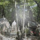 흥국사길 이미지