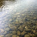 개미들솔향기야영장 이미지