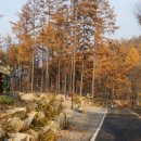 2야영장 화장실 이미지