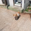 낙동북로 이미지