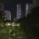 하타 | 성북구 요가 추천 한성대입구역 소규모 요가원 - '요가 아비' 하타요가 후기