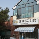 주암동 백반집 | 과천도시락 배달 맛집, GR해마루 도시락 후기!