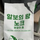 분갈이 주의할 점(알보의 왕 노크 흙 후기)