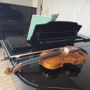 케이스펙 | 손 작은 사람의 비올라 구매 후기(Feat.몬테 비올라)