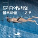 서울 프리다이빙 블루페블 체험 다이빙 후기 : 올림픽 공원 잠수풀 첫 방문